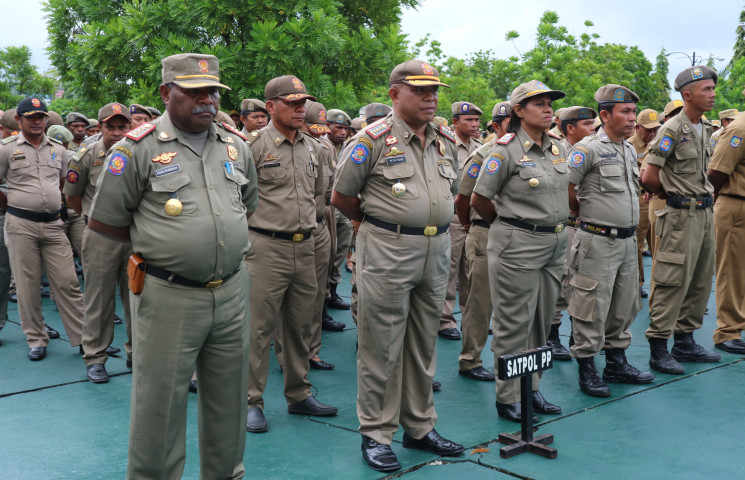 Pemerintah Provinsi Papua