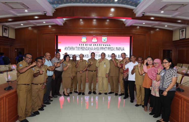 Pemerintah Provinsi Papua