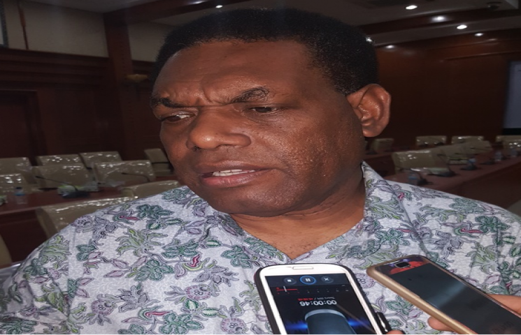 Stadion Papua Bangkit Akan Tampung 40 Ribu Penonton