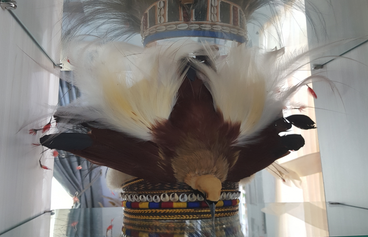 Resmi Pemprov Terbitkan Larangan Burung Cenderawasih Jadi Suvenir
