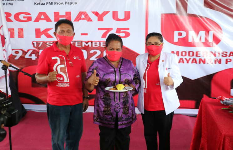 Pusat Data Terpadu Pemprov Papua