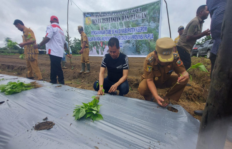 Pusat Data Terpadu Pemprov Papua