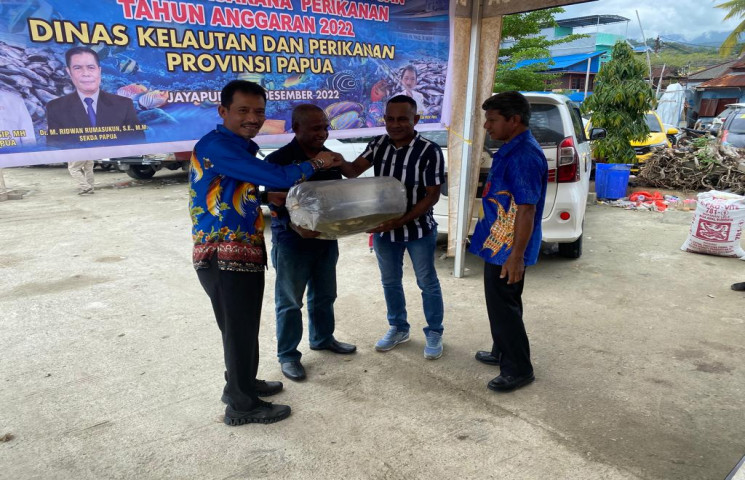 Pusat Data Terpadu Pemprov Papua