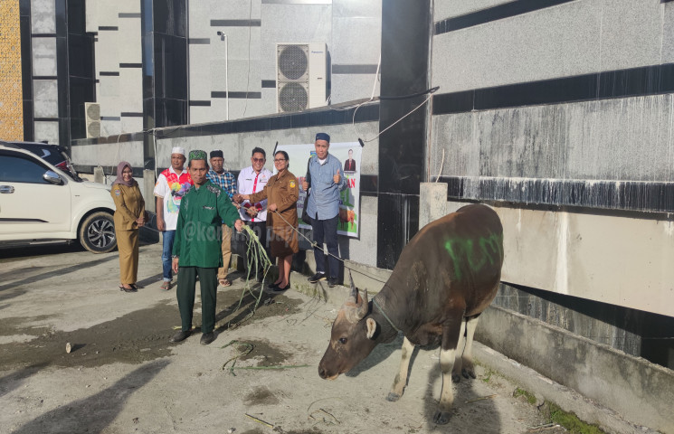 Pusat Data Terpadu Pemprov Papua