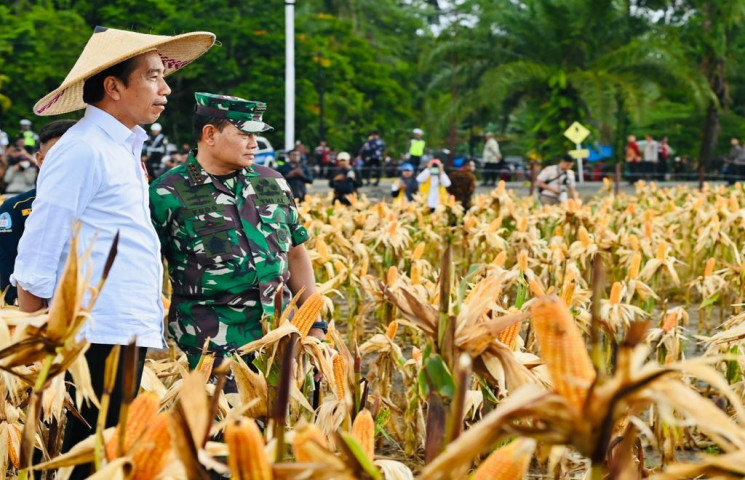Pusat Data Terpadu Pemprov Papua