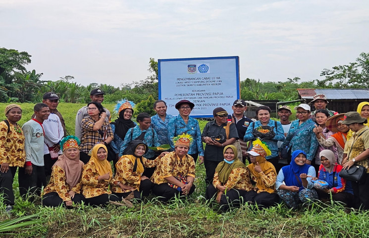 Pusat Data Terpadu Pemprov Papua