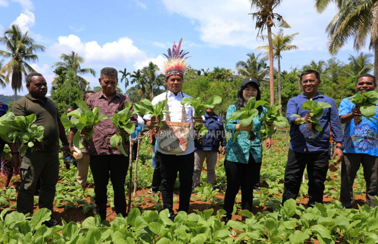 TP PKK Provinsi Papua Sinergi Dengan Kegiatan Desa B2SA Dinas Pertanian Dan Pangan Provinsi Papua Dalam Upaya Penurunan Angka Stunting Di kabupaten Biak 