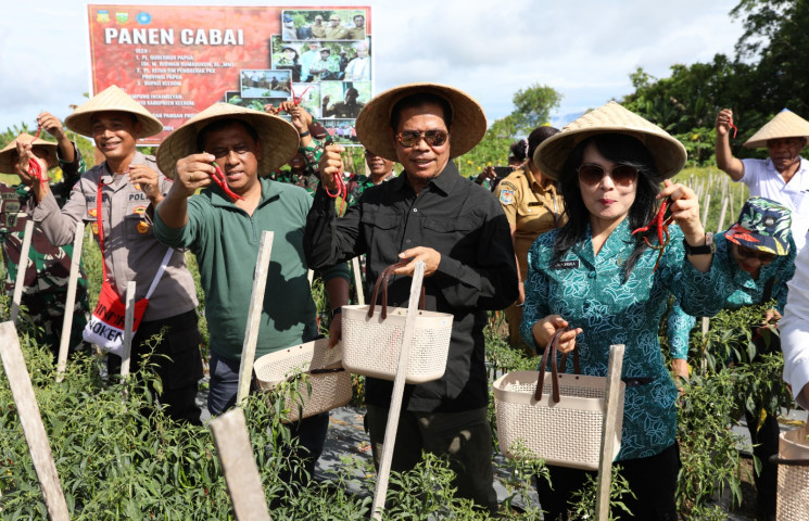Pusat Data Terpadu Pemprov Papua