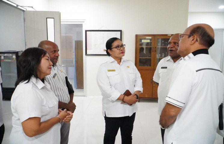 Pemprov Papua : Virus ASF Belum Masuk, Warga Tak Perlu Panik