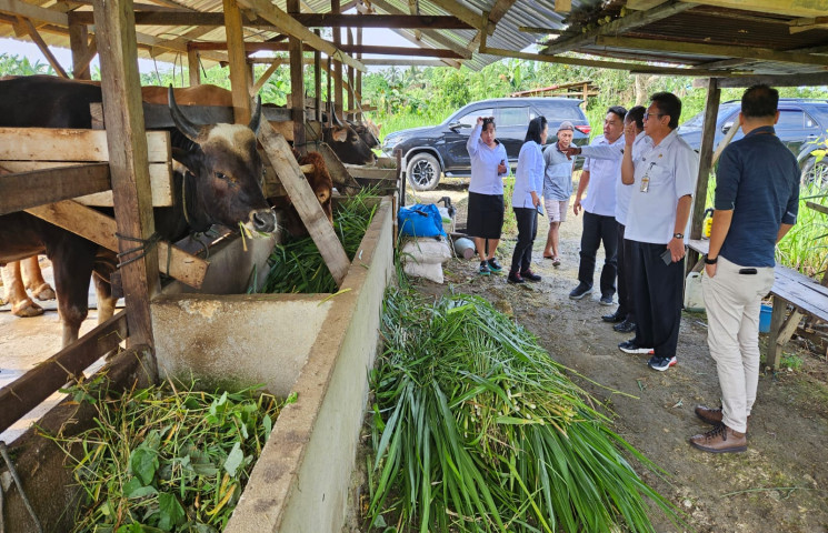 Pusat Data Terpadu Pemprov Papua
