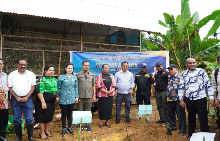Pusat Data Terpadu Pemprov Papua