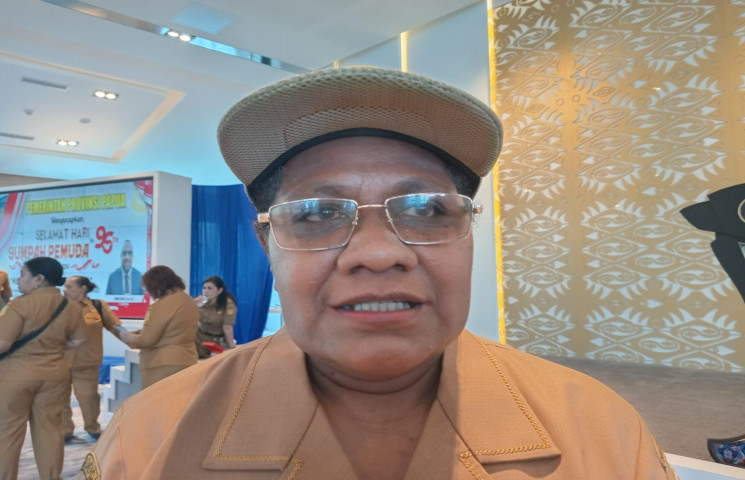 Pusat Data Terpadu Pemprov Papua
