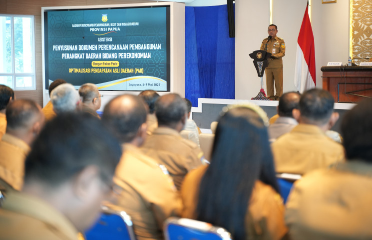 Pusat Data Terpadu Pemprov Papua