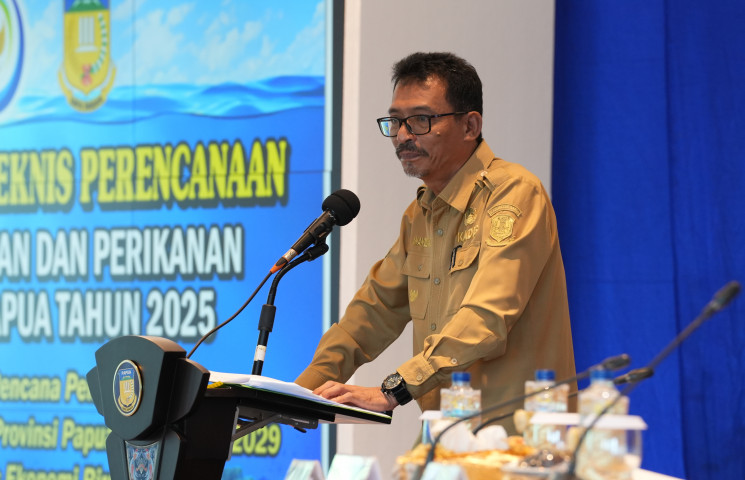 Pusat Data Terpadu Pemprov Papua
