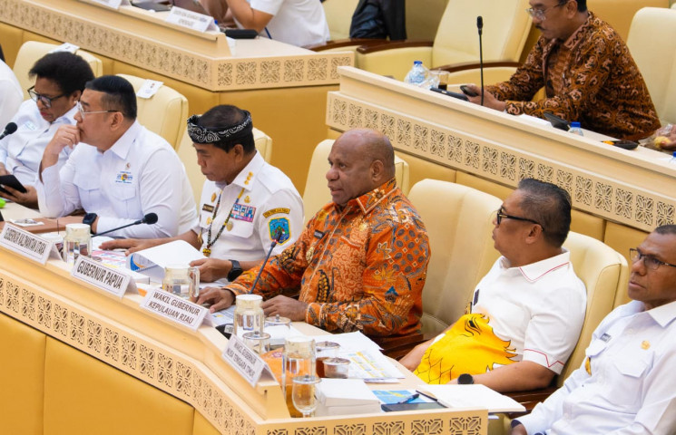 Pusat Data Terpadu Pemprov Papua