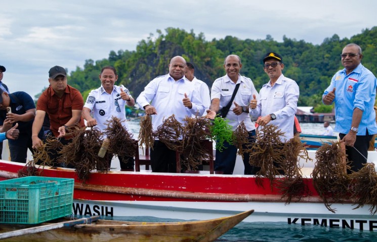 Pemprov Papua Siapkan Hilirisasi Rumput Laut di Kepulauan Yapen