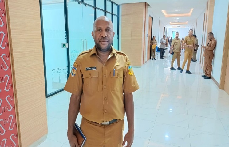 Pemprov Papua Perkuat Kerja Sama Kesehatan dengan Papua Nugini
