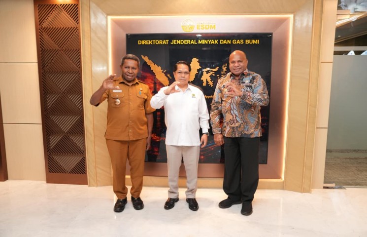 Pusat Data Terpadu Pemprov Papua