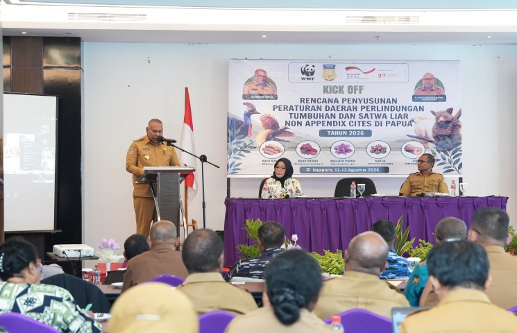 Pusat Data Terpadu Pemprov Papua